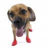 chaussure-pour-chien-pawz.jpg