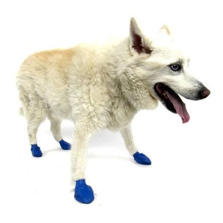 chaussure-pour-chien-pawz.jpg