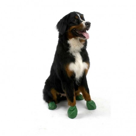 chaussure-pour-chien-pawz.jpg