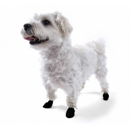 chaussure-pour-chien-pawz.jpg