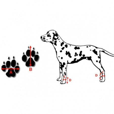 Bottines renforcées pour chien Thera-paw