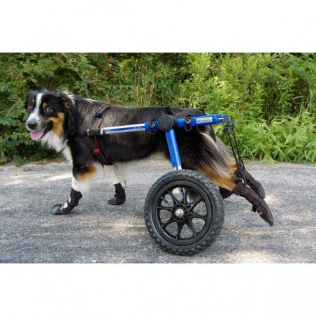 chaussures-de-protection-walkin-wheels.jpg chaussures-de-protection-walkin-wheels.jpg