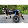 chaussures-de-protection-walkin-wheels.jpg chaussures-de-protection-walkin-wheels.jpg