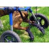 chaussures-de-protection-walkin-wheels.jpg chaussures-de-protection-walkin-wheels.jpg
