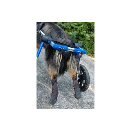chaussures-de-protection-walkin-wheels.jpg chaussures-de-protection-walkin-wheels.jpg
