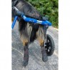 chaussures-de-protection-walkin-wheels.jpg chaussures-de-protection-walkin-wheels.jpg