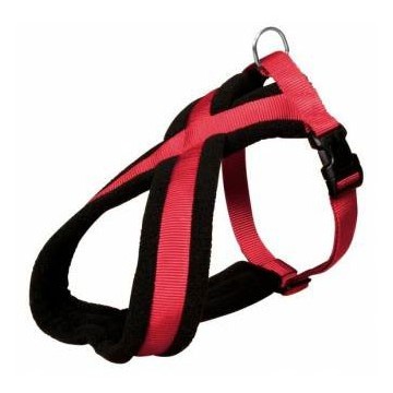 harnais chien chat promenade handicapé vieux