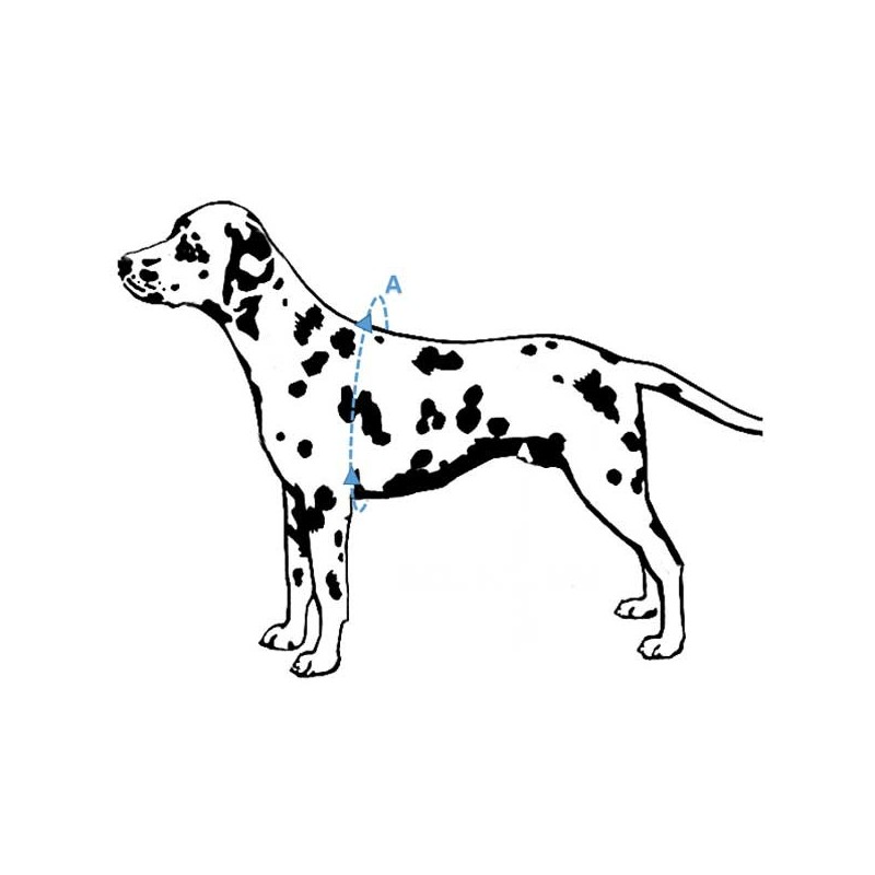 Harnais standard pour chiens et chats MIKAN Harnais standard pour chiens et chats MIKAN