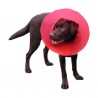 carcan-transcol-protection-pour-chien.jpg carcan-transcol-protection-pour-chien.jpg