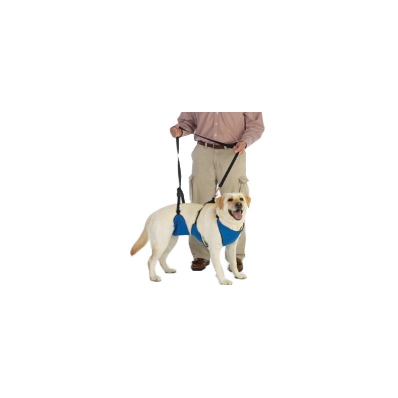 harnais-total-avant-arriere-chien-handicape.jpg
