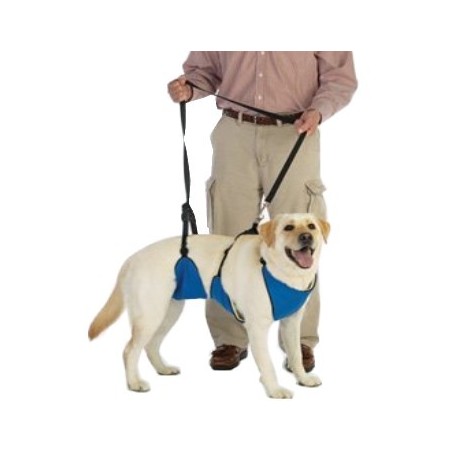 harnais-total-avant-arriere-chien-handicape.jpg