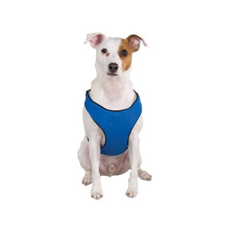 harnais-total-avant-arriere-chien-handicape.jpg