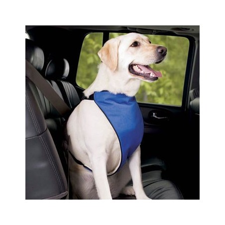 harnais-total-avant-arriere-chien-handicape.jpg