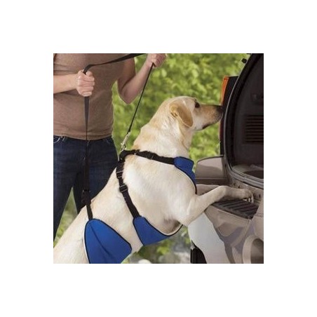 harnais-total-avant-arriere-chien-handicape.jpg