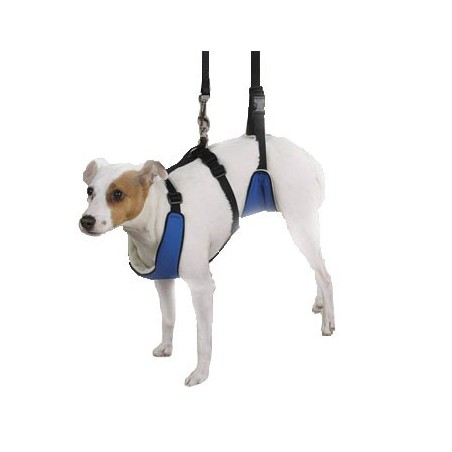 harnais-total-avant-arriere-chien-handicape.jpg