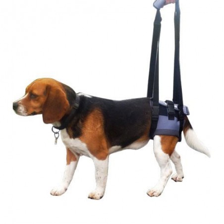 HARNAIS DE LEVAGE POUR CHIEN - PATTES AVANT et ARRIÈRE - 100% AJUSTABLE