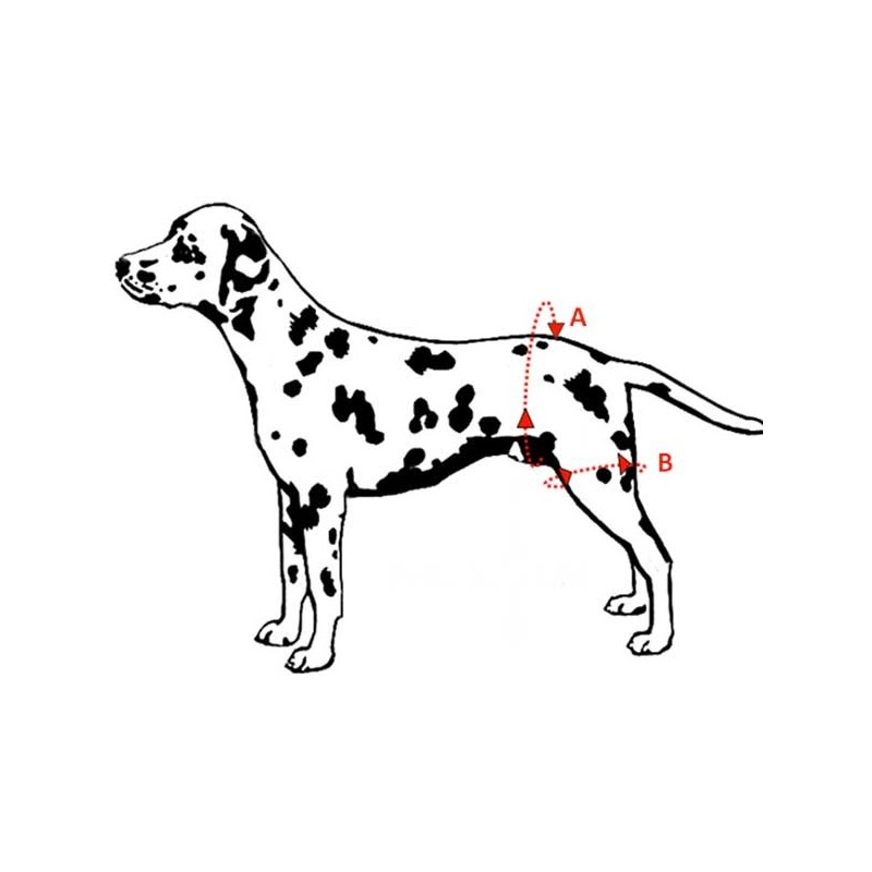 Harnais Pattes Arriere Pour Chien Handicape Mikan Vet