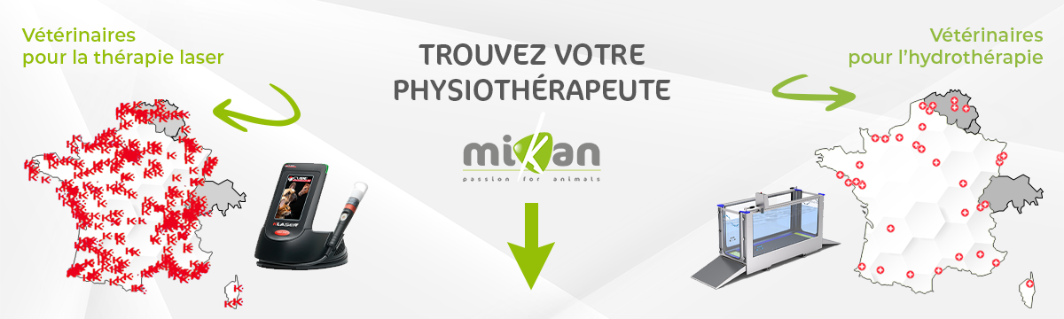 carte dess vétérinaires en physiothérapie laser et hydrothérapie proche de chez vous par mikan