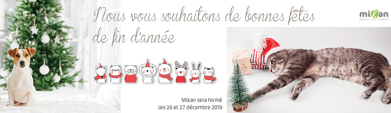 Fêtes fin d'années Mikan