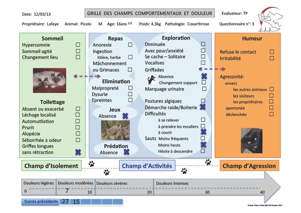 Grille des champs comportementaux et douleur après traitement