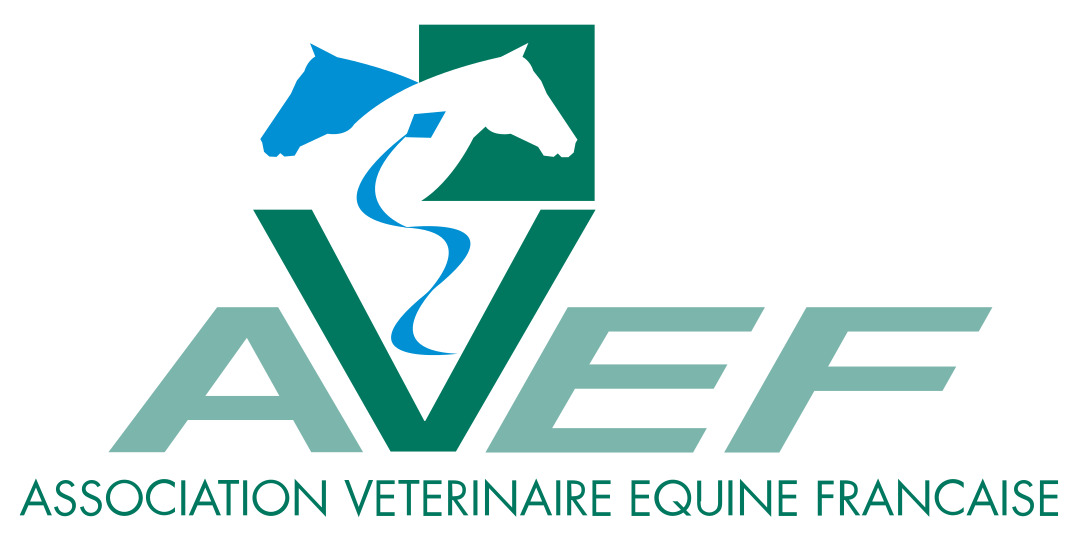 logo avef