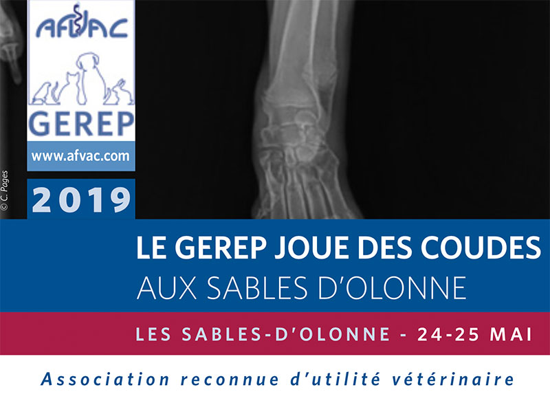 GEREP 2019 avec Mikan