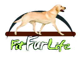 Logo partenaire Fit Fur Life