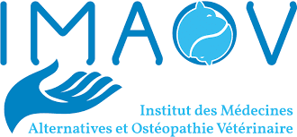 logo imaov