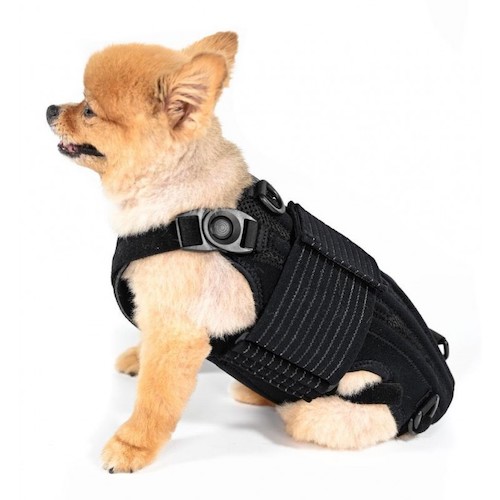 ceinture dorsale chauffante pour animaux