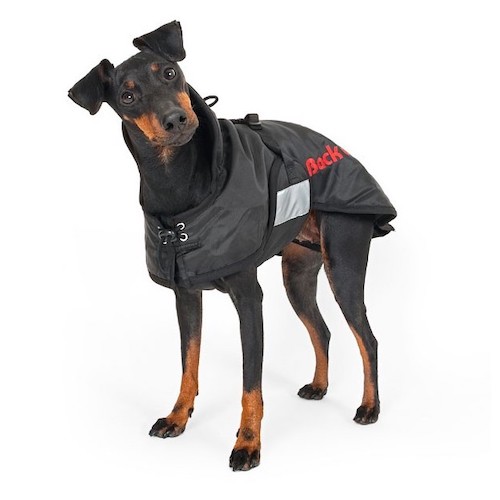 manteau pour chien thermique
