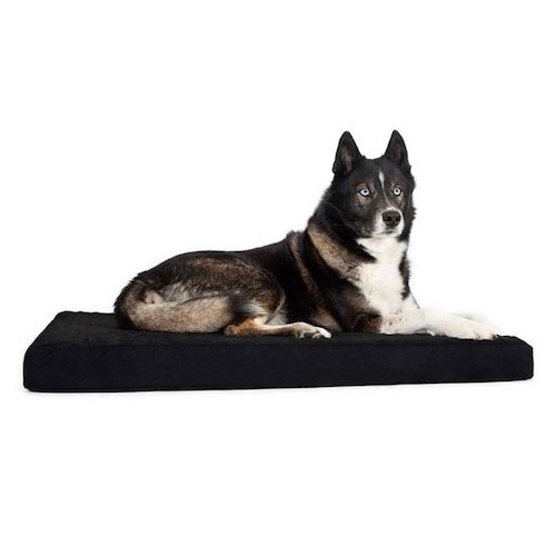 Matelas thermique pour animaux