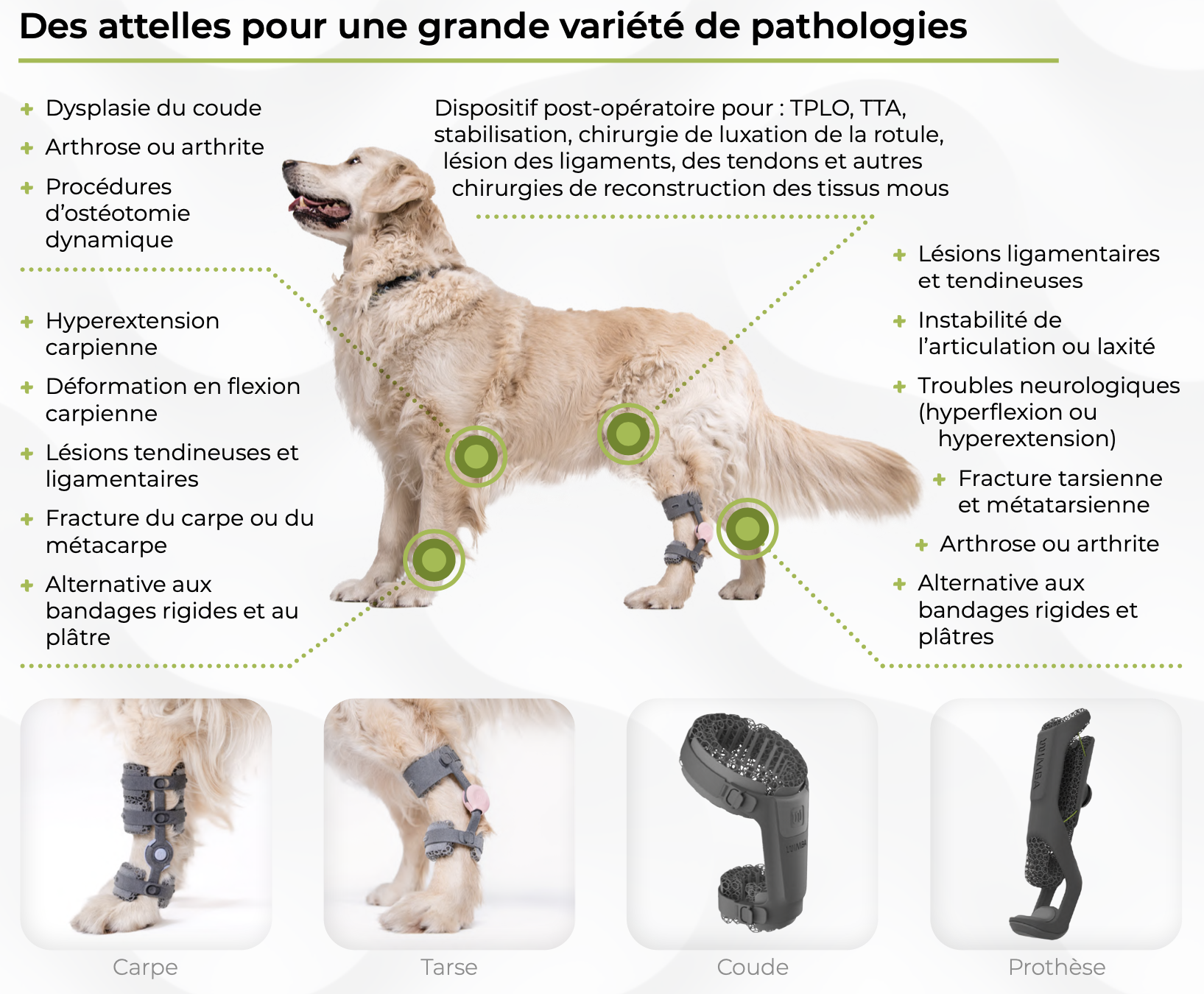 indications cliniques des attelles sur-mesures articulées 4D wimba