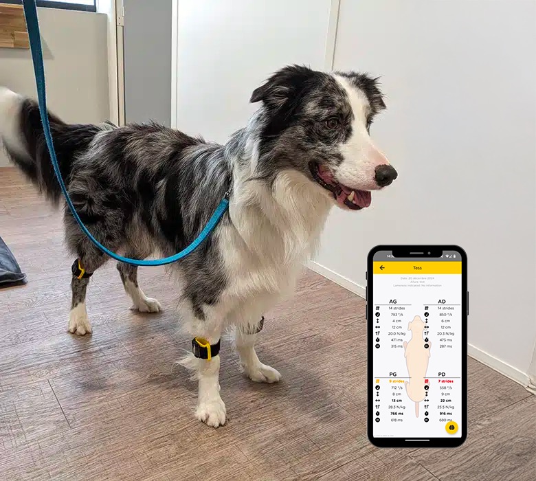 Tendiboots capteur locomotion