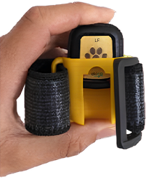 Tendiboos capteur locomotion chien dispositif