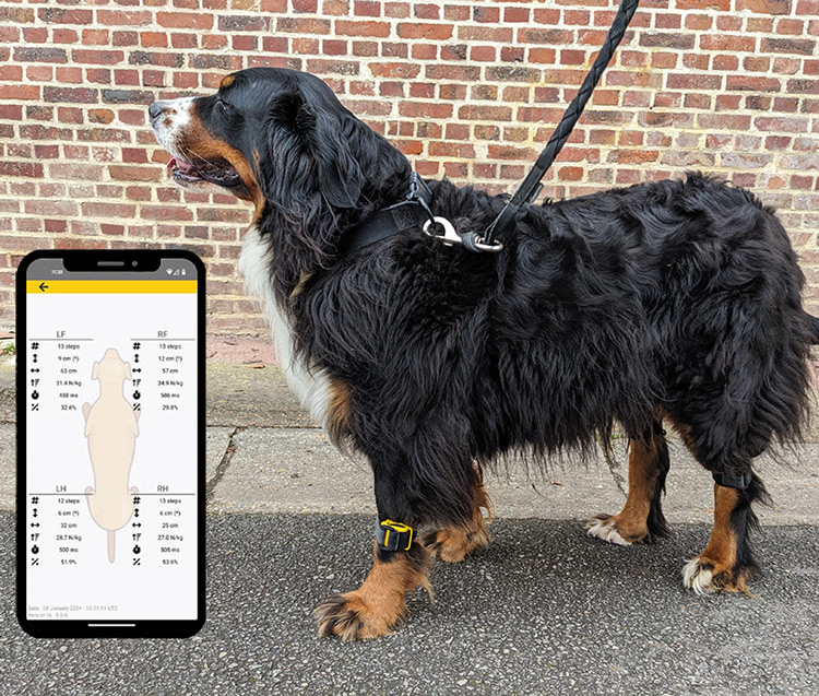 Tendiboots capteur de locomotion chien application et mise en place