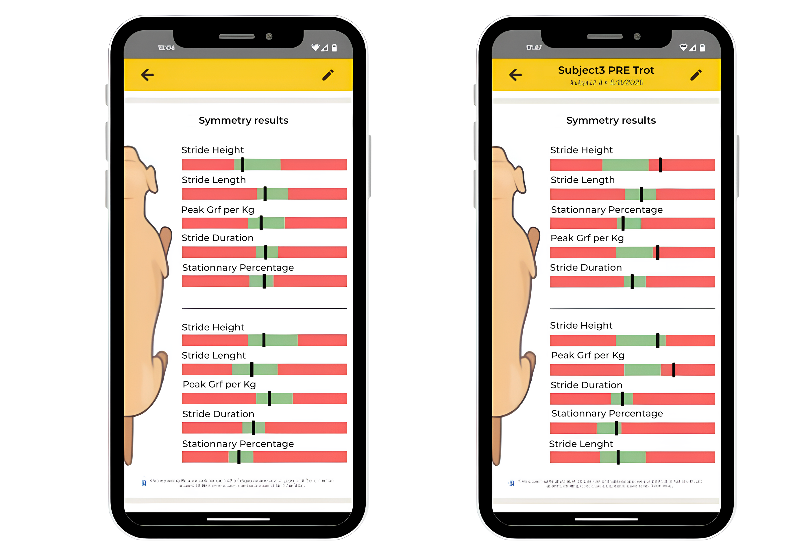 Tendiboots capteur locomotion chien interface des résultats application