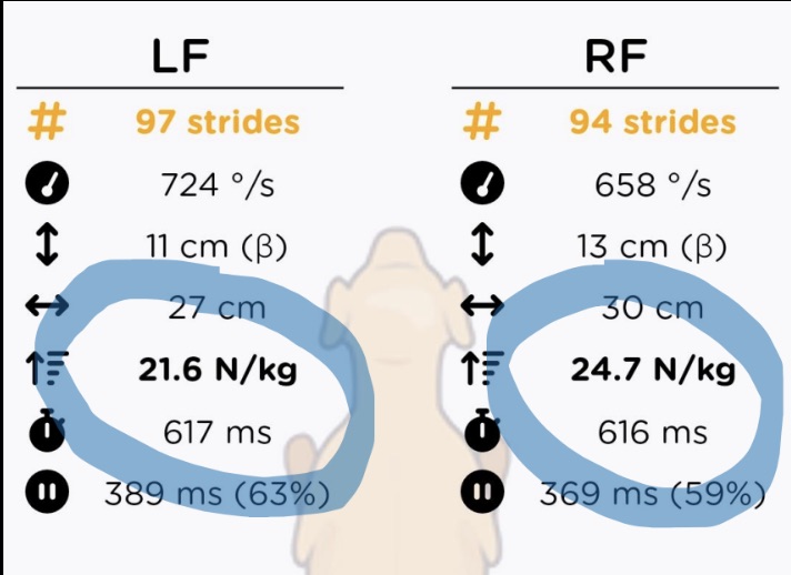 Tendiboots capteur locomotion chien analyse tendinopathie après