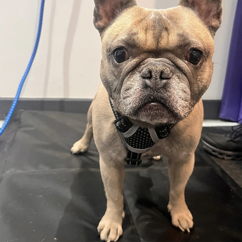 Etude de cas Freddy stance