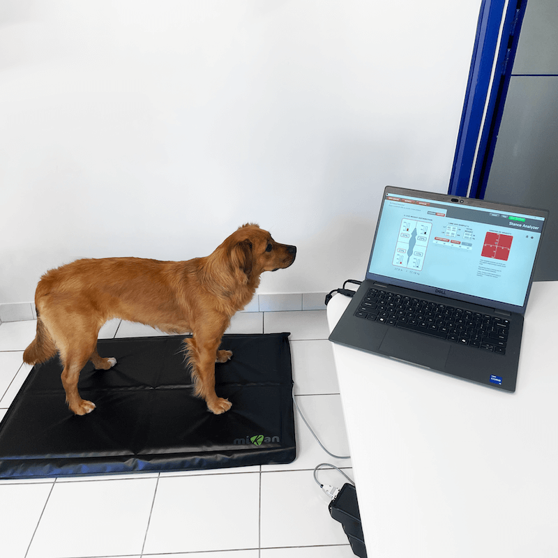 Plateforme analyse posturale