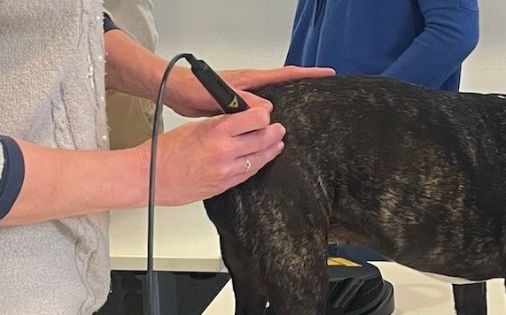 Therapie laser image therapie