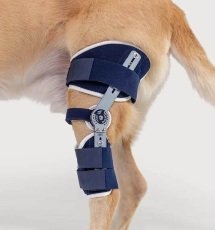 attelle articulées genou chien chat