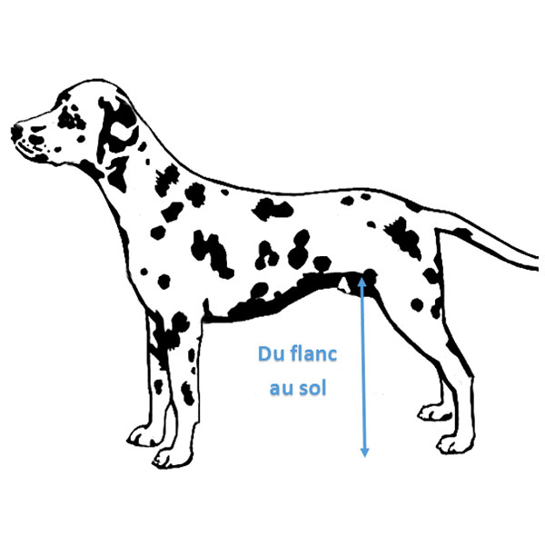 guide des tailles chariot roulant pour chien