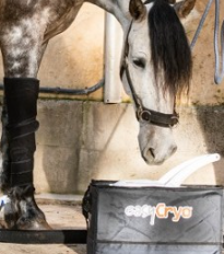 cryotherapie compressive equin