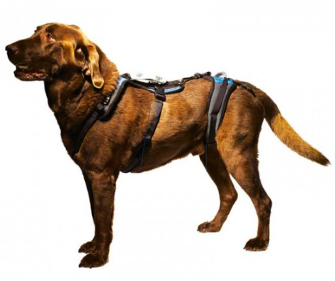 harnais total  chien chat mikan