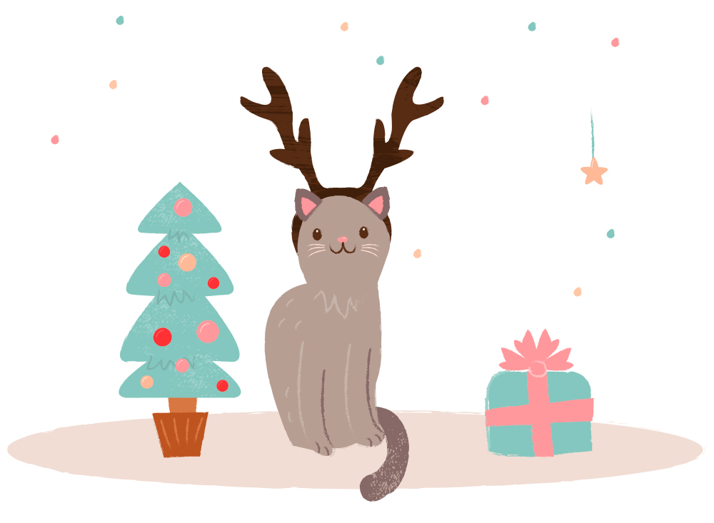 Comment Protéger Son Sapin De Noël De Son Chat