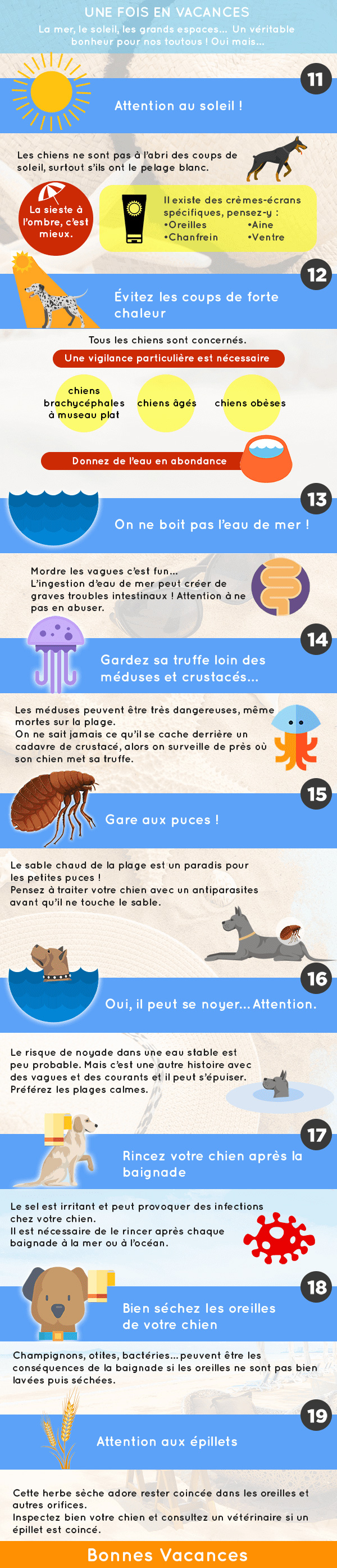 Profiter des vacances avec son animal