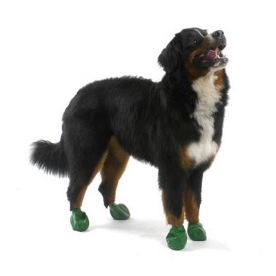 chaussures pour chien