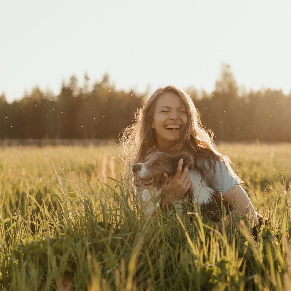 balade avec son chien dans les champs