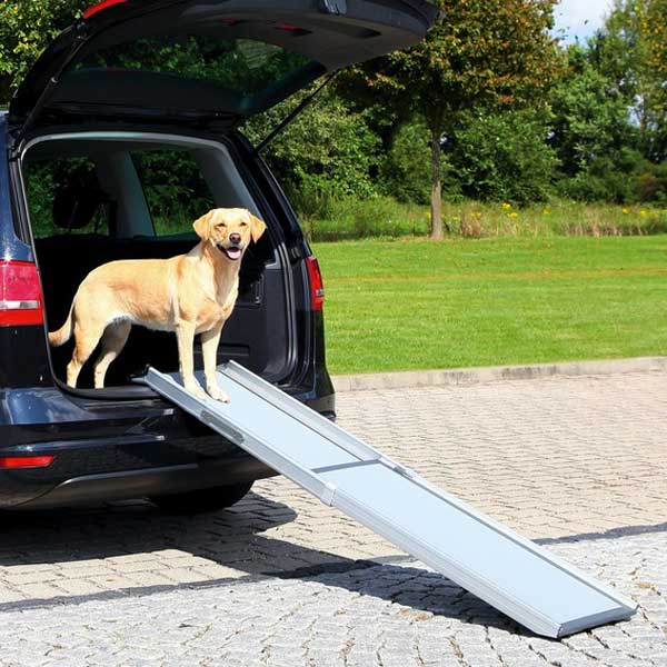 Rampes chiens voiture haute