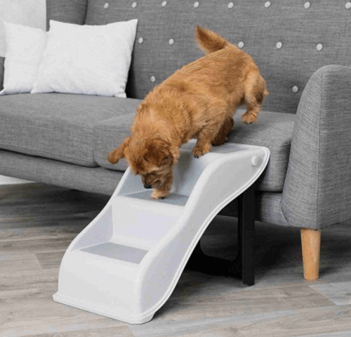 Escaliers pour chiens Mikan